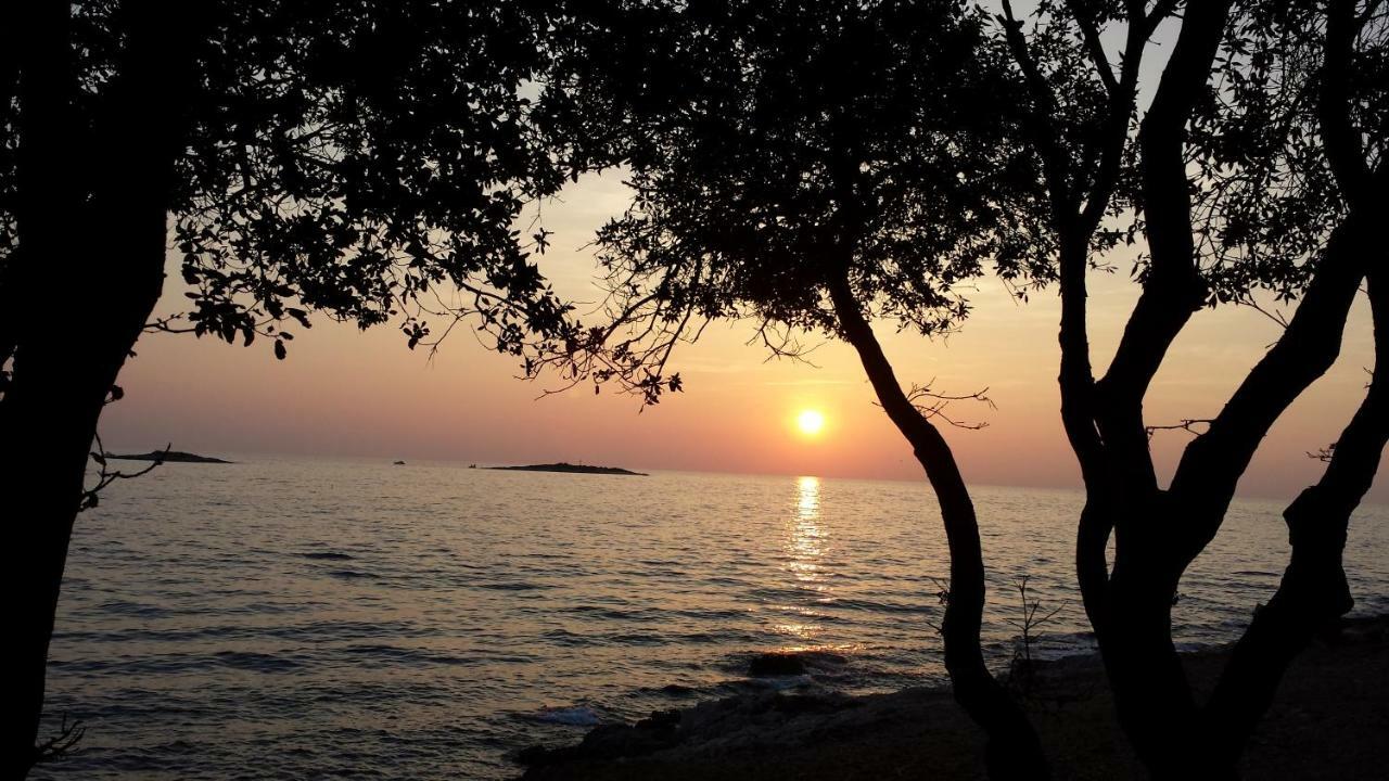 Apartment Maestral Poreč Buitenkant foto